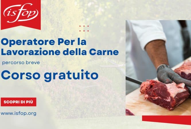 miniatura del corso